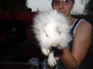 SAM_1756