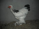 DSCN8565