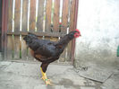 DSCN8571