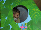 DSCN0687