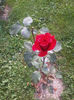 2013-07-27 16.52.26