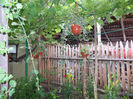 DSCN0037