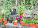 DSCN0048
