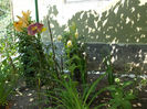 DSCN0096