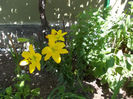 DSCN0098