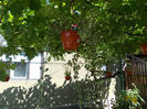DSCN0103