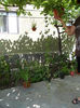 DSCN0208
