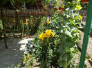DSCN0215