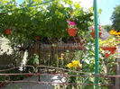 DSCN0217