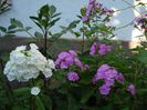 DSC00939