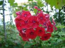 DSC00967