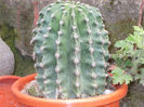 DSCN0172