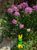 DSC01080