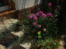 DSC01085