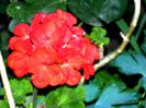 DSCN8234
