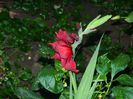 DSCN8256