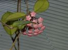 DSCN8327