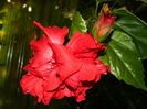 DSCN8352