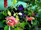 DSCN8392