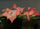 DSCN8445