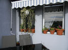 DSCN5673