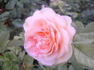 PICT0293