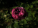 PICT0299