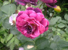 PICT0315