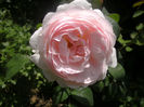 PICT0319