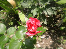 PICT0321