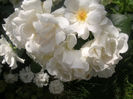 PICT0324