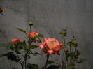 PICT0329