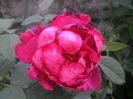 PICT0331