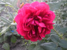 PICT0333