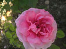 PICT0334