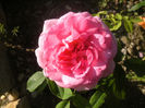 PICT0336