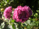 PICT0337