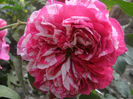 PICT0339