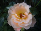 PICT0357