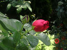 PICT0360