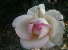 PICT0362