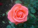 DSC00404