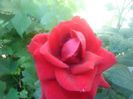 DSC00407