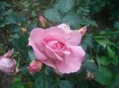 DSC00414