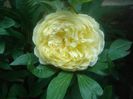 DSC00418