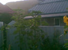 29072013(006)