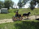 GYPSY COB