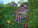DSCN5094