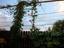 DSCN5095