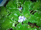 DSCN5099